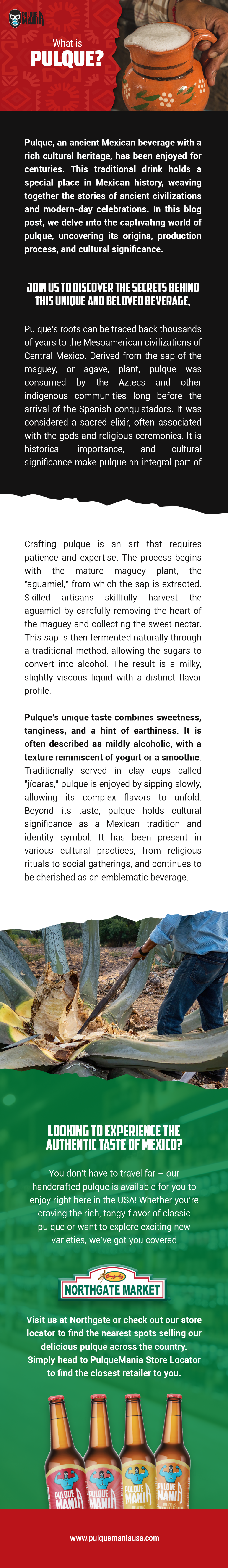 What is Pulque?